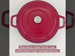 de zeevruchtenpot van het emailgietijzer