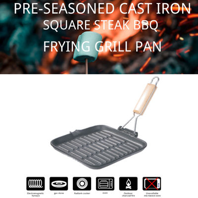 Het vierkante Rooster van de Gietijzergrill kruidde pre de Vlakke Grill van de Ijzerkoekepan met het Vouwen van Handvat