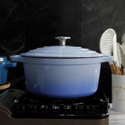 Het Gietijzerbraadpan van het grootte 21/24/26/28.5cm Email voor Catering