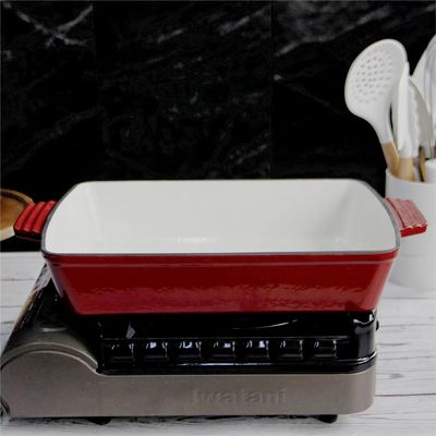 Van de het Gietijzerpan 2.5/4kg van de emaildeklaag het Gietijzerbraadpan