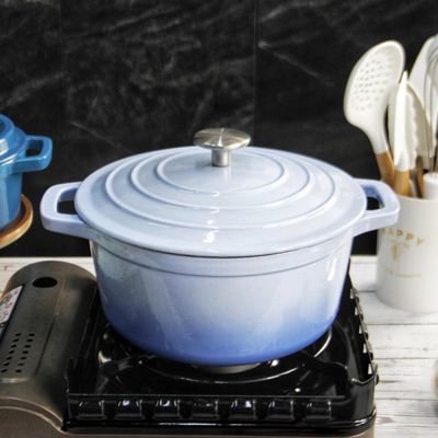 Het Gietijzerbraadpan van het grootte 21/24/26/28.5cm Email voor Catering