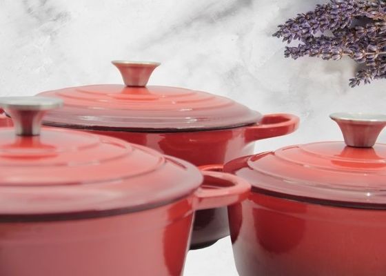 De BraadpanGietijzer Stew Pot For Kitchenware van het emailGietijzer