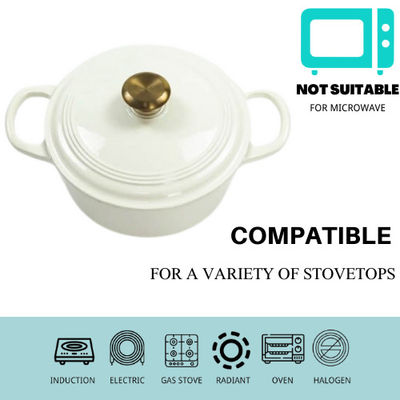 Braadpan 21/22cm van het roest vrije Gietijzer Grote braadschotel voor 2-4 Mensen