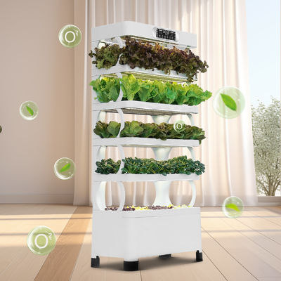 Veggiefloe-hydroponisch systeem ️ Vers, gezond en duurzaam zelfgeteelde groenten