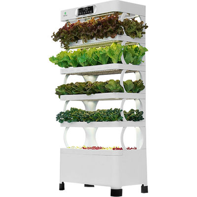 Veggiefloe Smart Hydroponic Vegetable System - De beste keuze voor gezonde, zelfgeteelde groenten