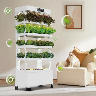 Veggiefloe Hydroponic System for Schools: hands-on learning en gezond eten voor kinderen